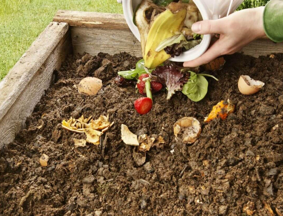 Compost Fundaci n Huella Verde